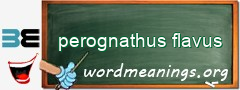 WordMeaning blackboard for perognathus flavus